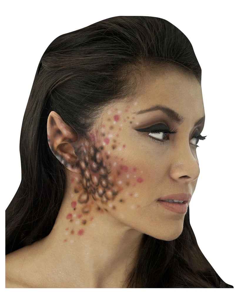 Elfenohren 4 Elfenohren – Bild 2