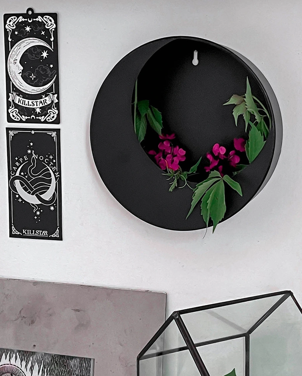 Cosmical Pflanzschale Für Die Wand KILLSTAR 4 Cosmical Pflanzschale Für Die Wand KILLSTAR – Bild 2