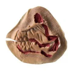 Zombie Gebiss Wunde Aus Latex